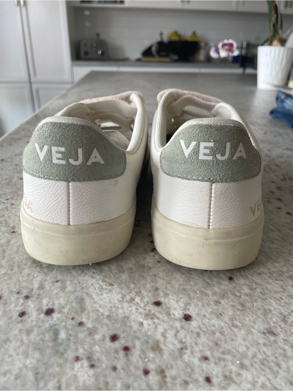 Veja Recife Sneakers